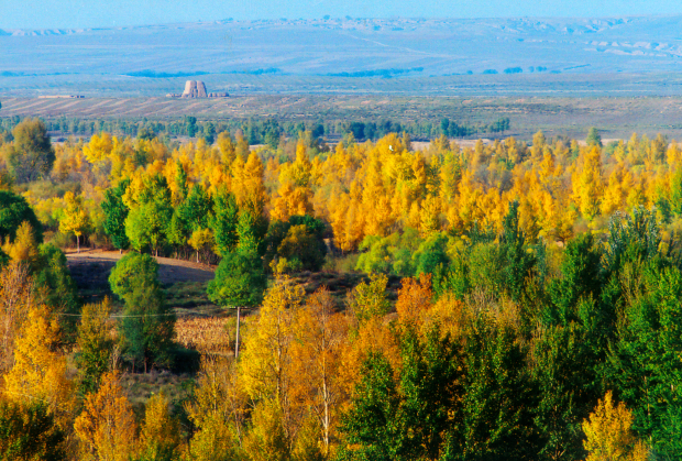 Honeyview_image003.jpg